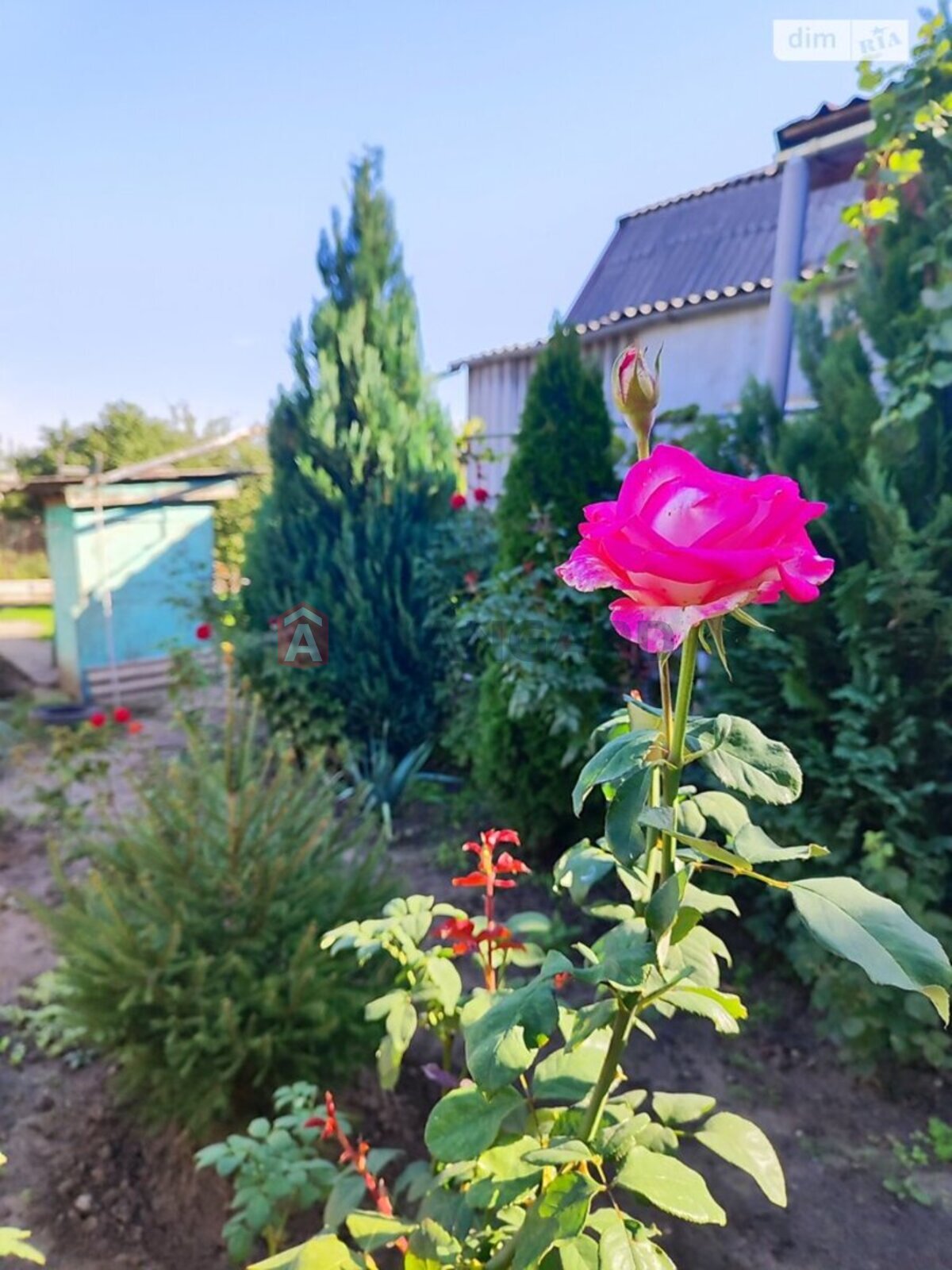 , 90 ..  6