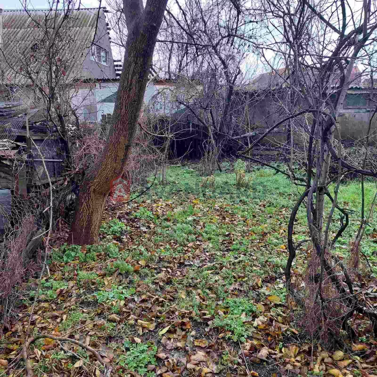 ������� �������, 39 ��.�. ���� 12