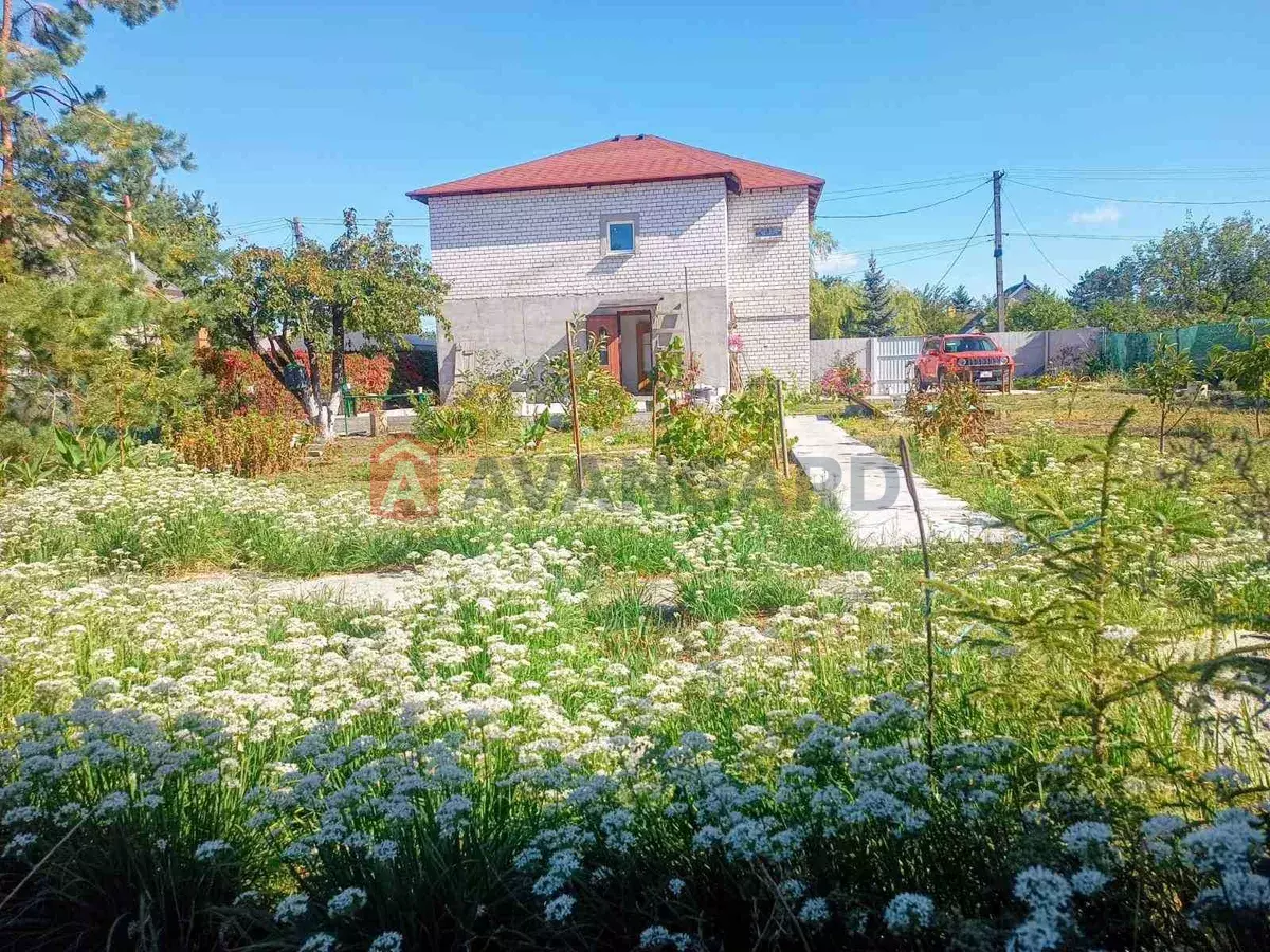 ����, 100 ��.�. ���� 1