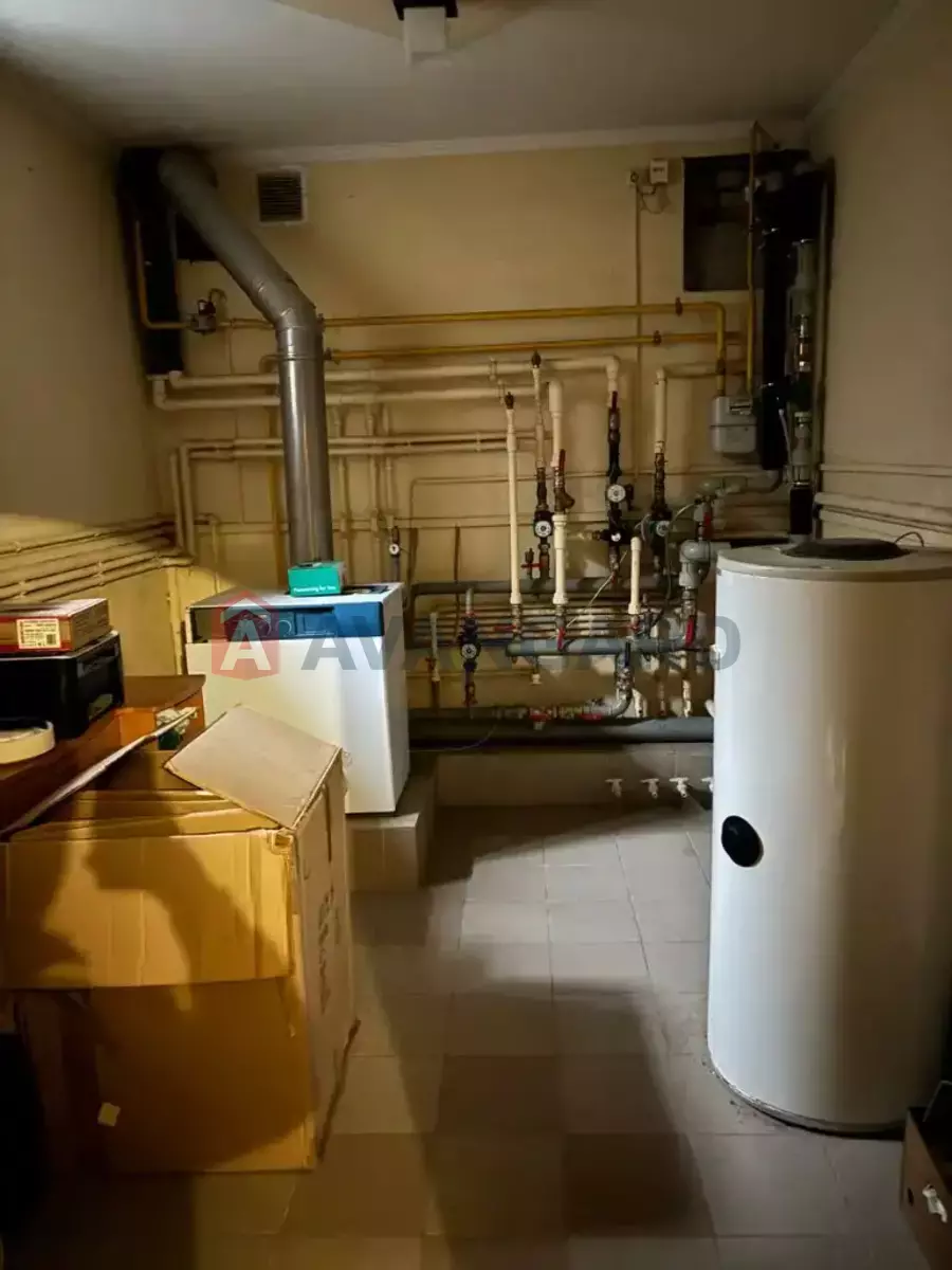 �������, 650 ��.�. ���� 10