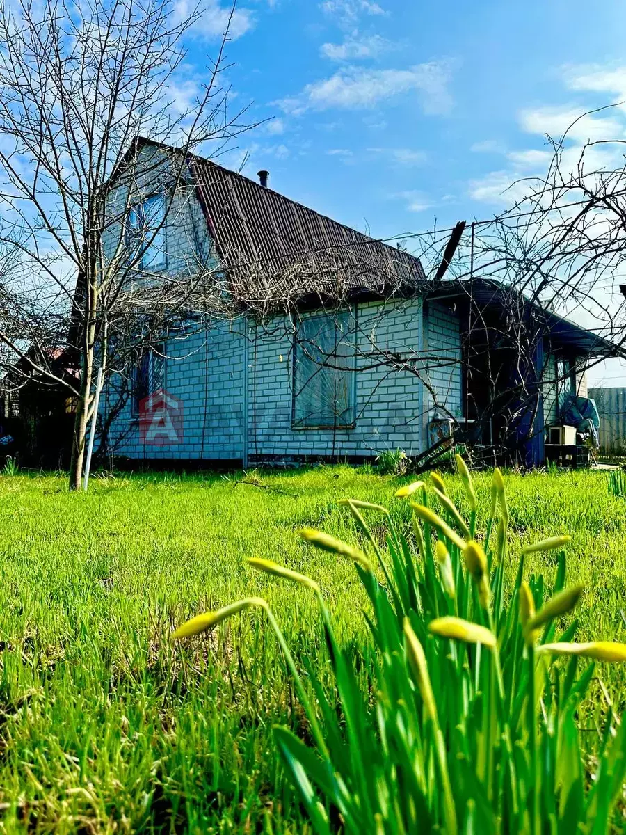 ����, 60 ��.�. ���� 5