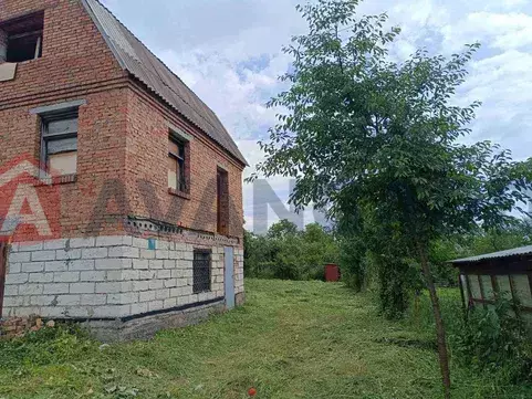 �������, 85 ��.�. ���� 2