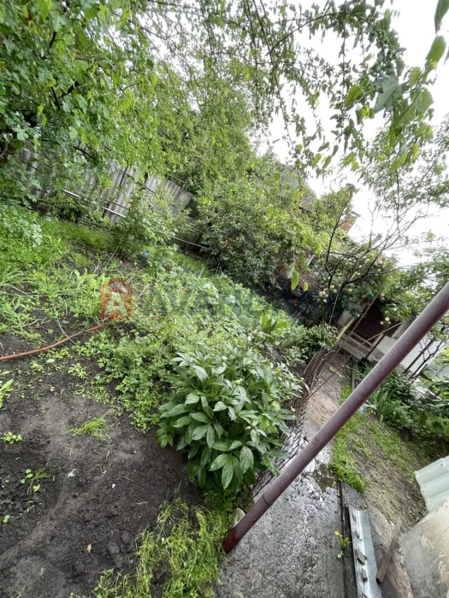 ������� �������, 35 ��.�. ���� 8