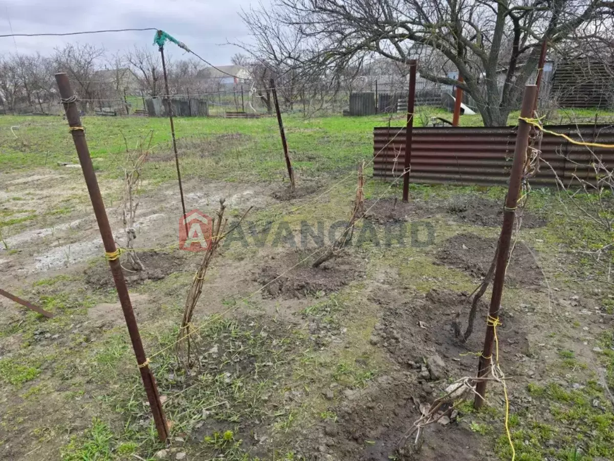 �������, 61 ��.�. ���� 29