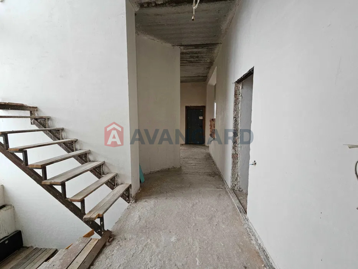 �������, 234 ��.�. ���� 10