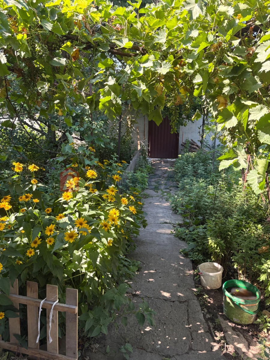 ���, 88 ��.�. ���� 1