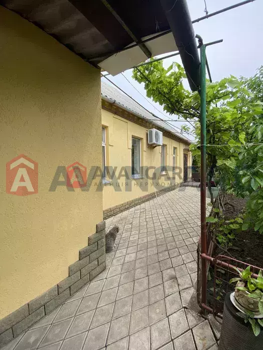 ���, 80 ��.�. ���� 3