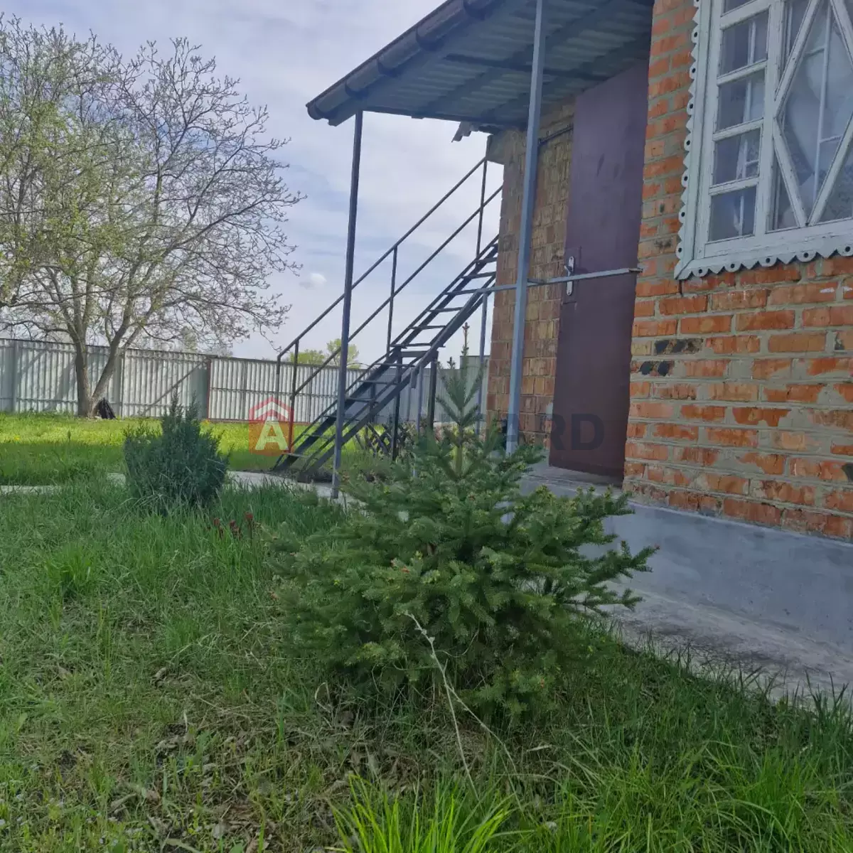 ����, 38 ��.�. ���� 6