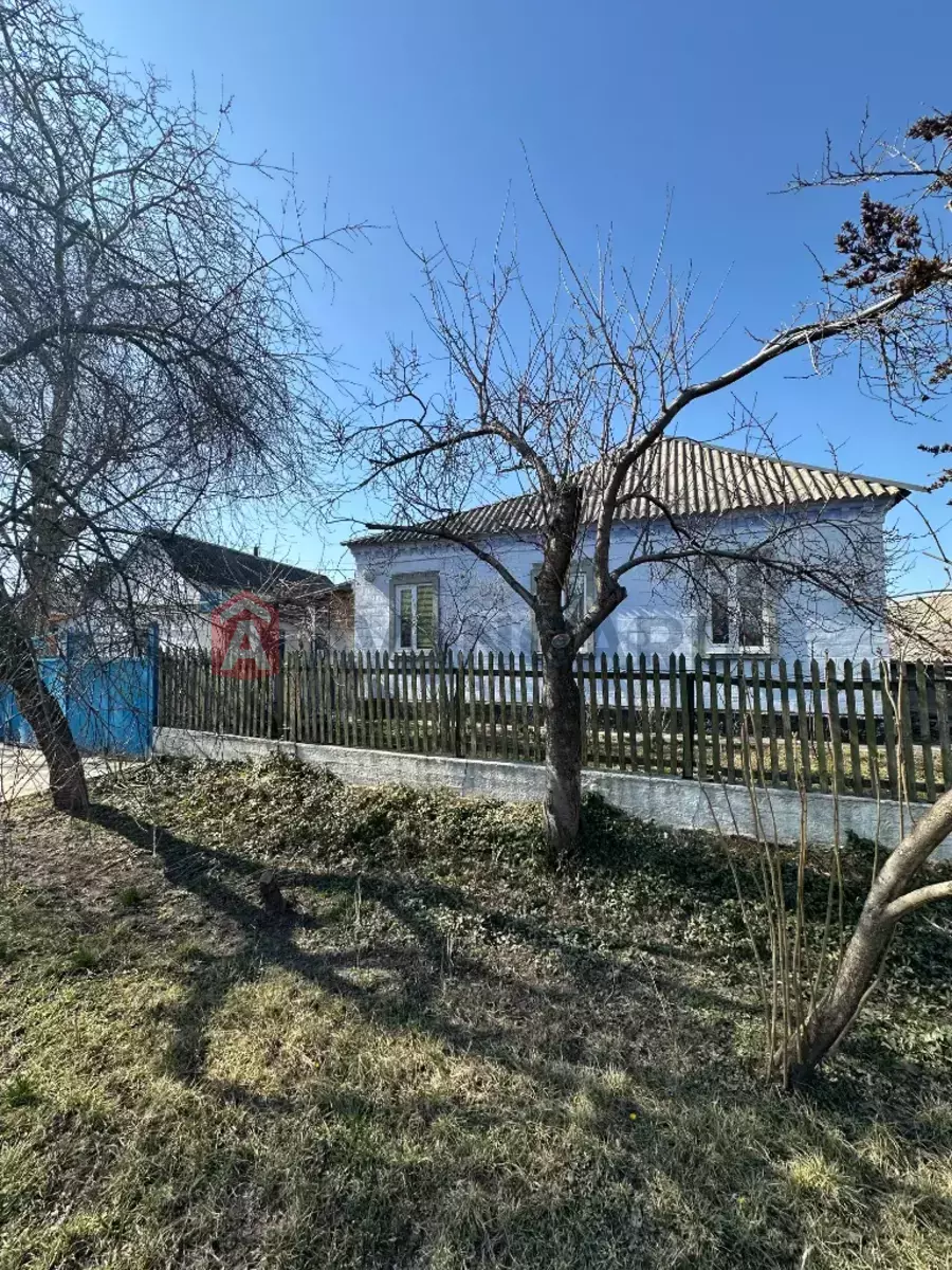 �������, 65 ��.�. ���� 16