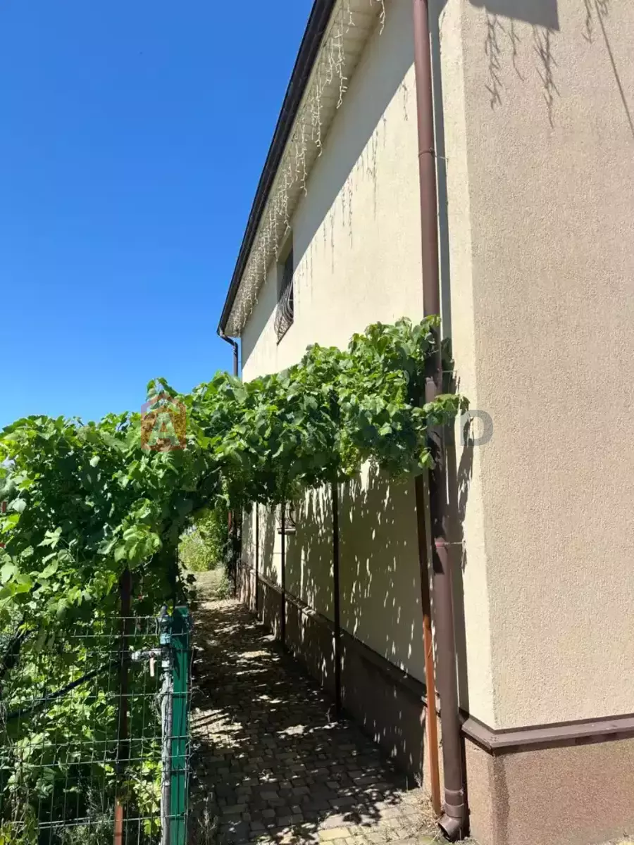 �������, 176 ��.�. ���� 5