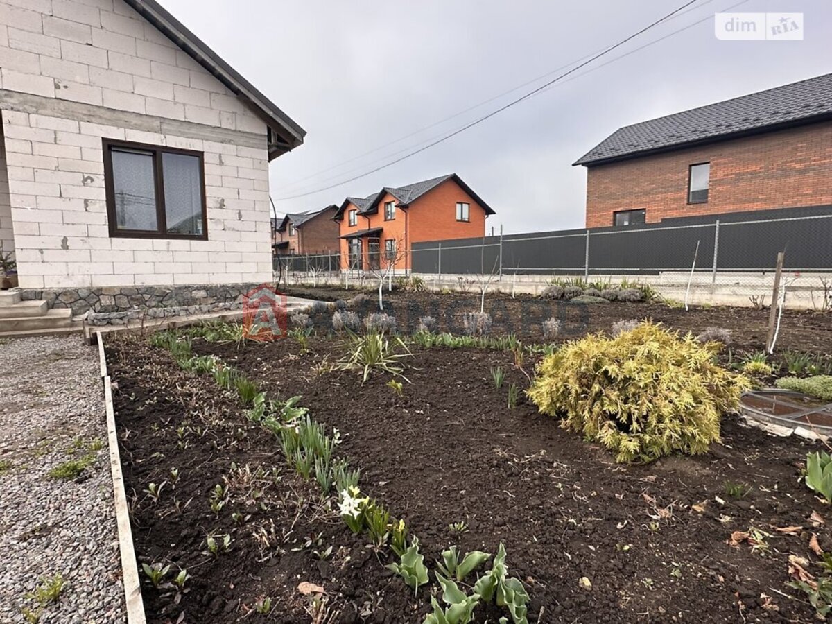 �������, 100 ��.�. ���� 3