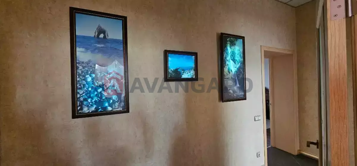 �������, 202 ��.�. ���� 7