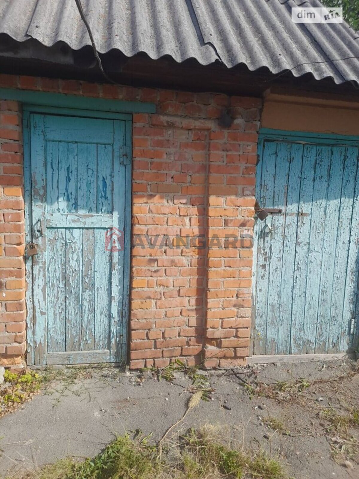 ����� ����, 44 ��.�. ���� 11