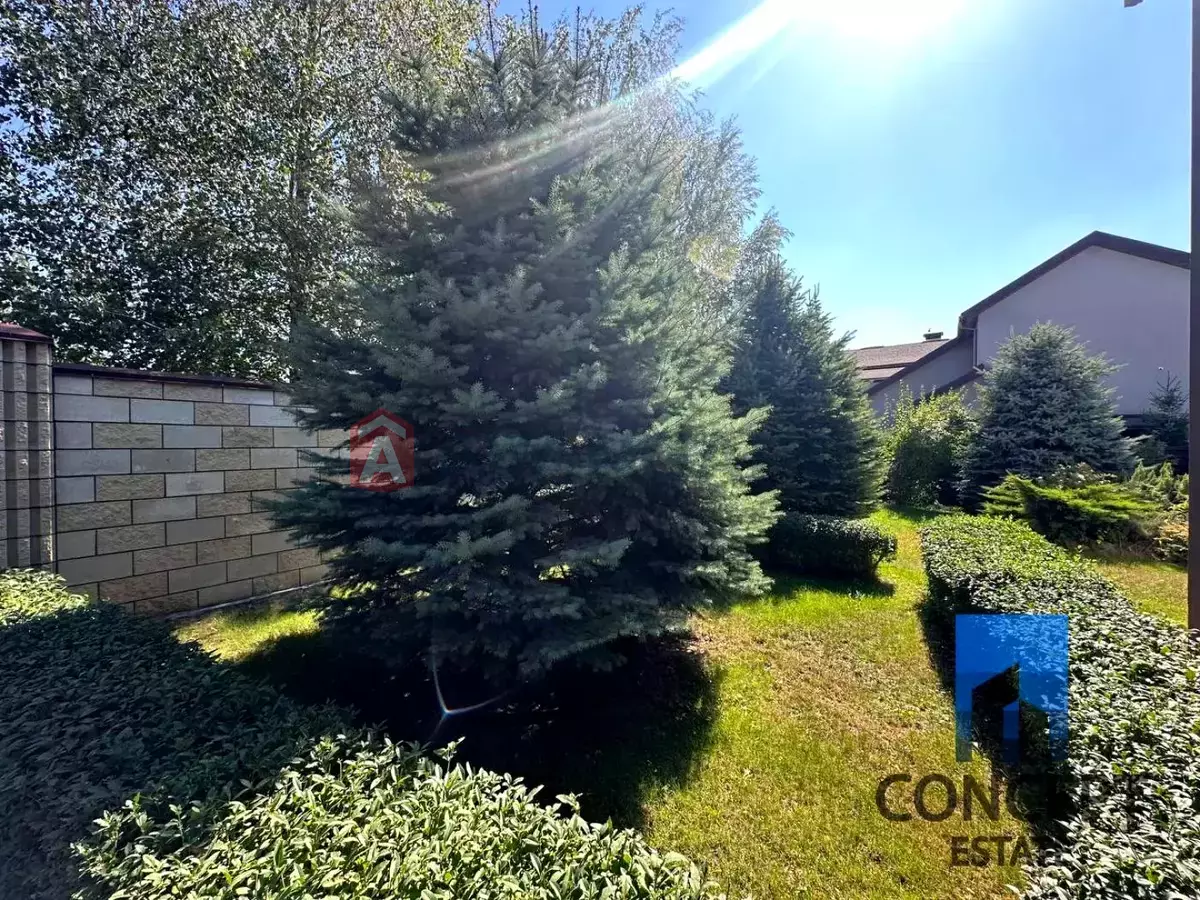 �������, 250 ��.�. ���� 12