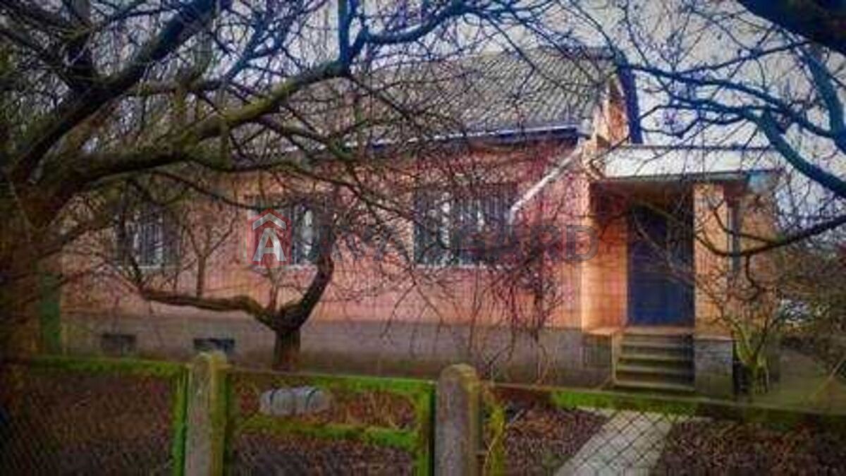 �������, 164 ��.�. ���� 1