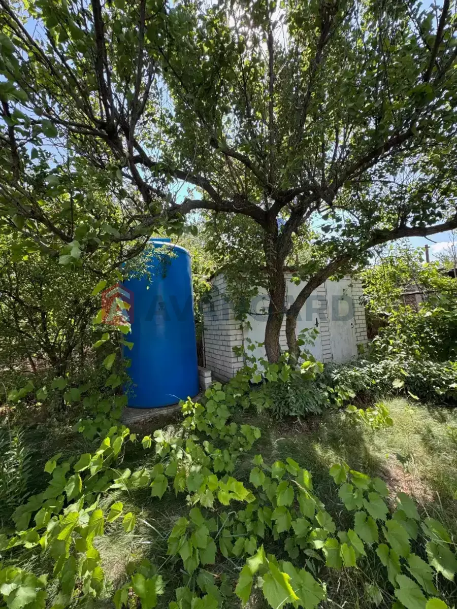 , 55 ..  8