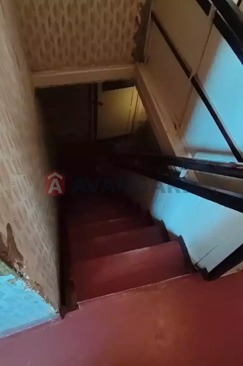 �������, 137 ��.�. ���� 14