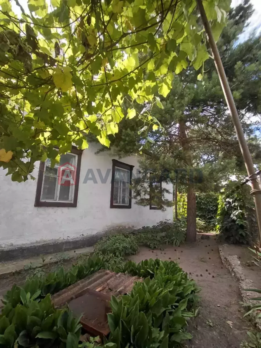 �������, 58 ��.�. ���� 3