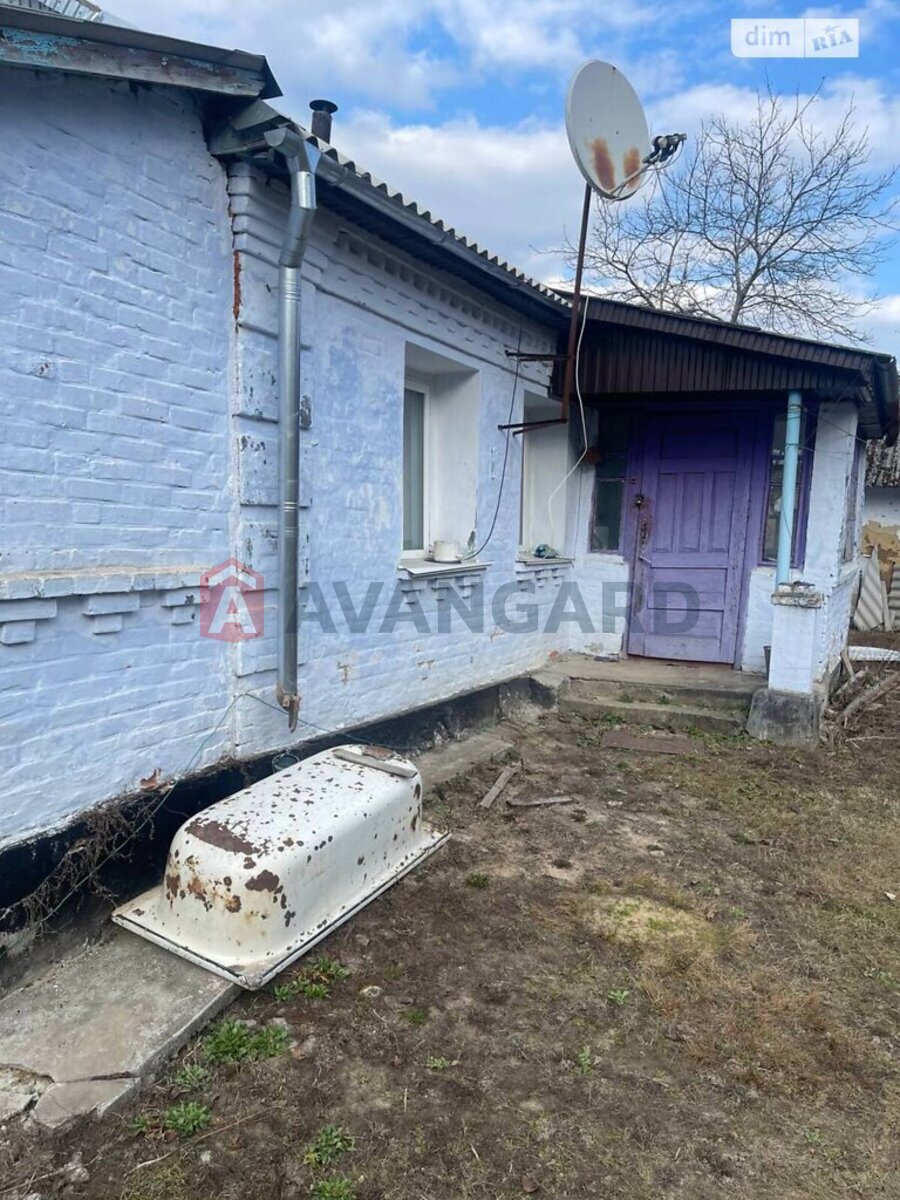 �������, 96 ��.�. ���� 12