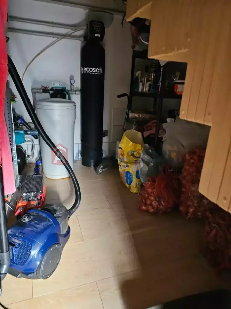 ����, 100 ��.�. ���� 15