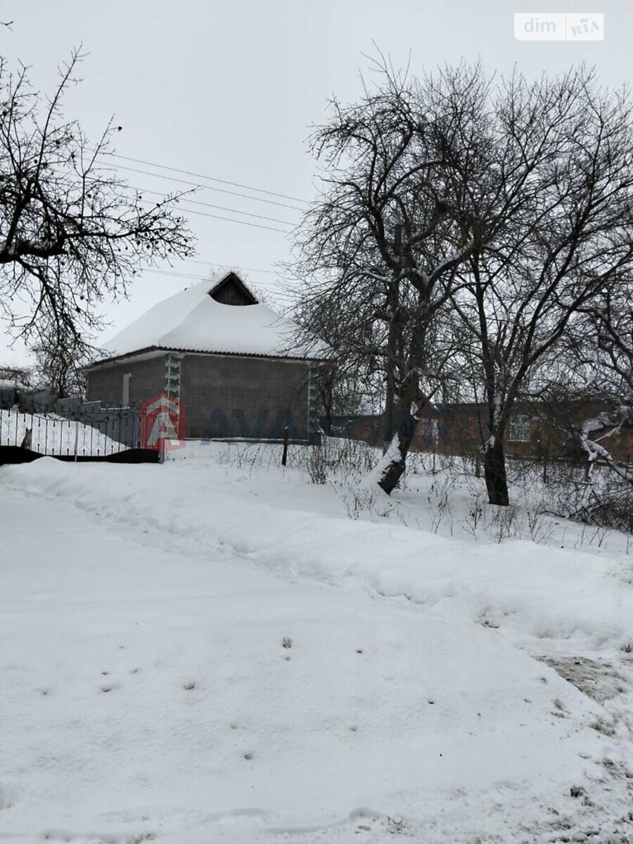 �������, 40 ��.�. ���� 2