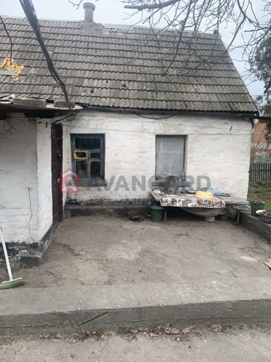 �������, 50 ��.�. ���� 3