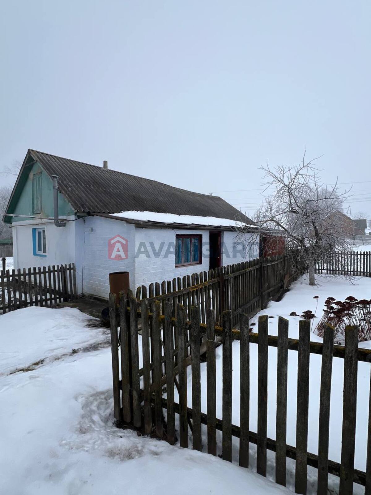 �������, 80 ��.�. ���� 3