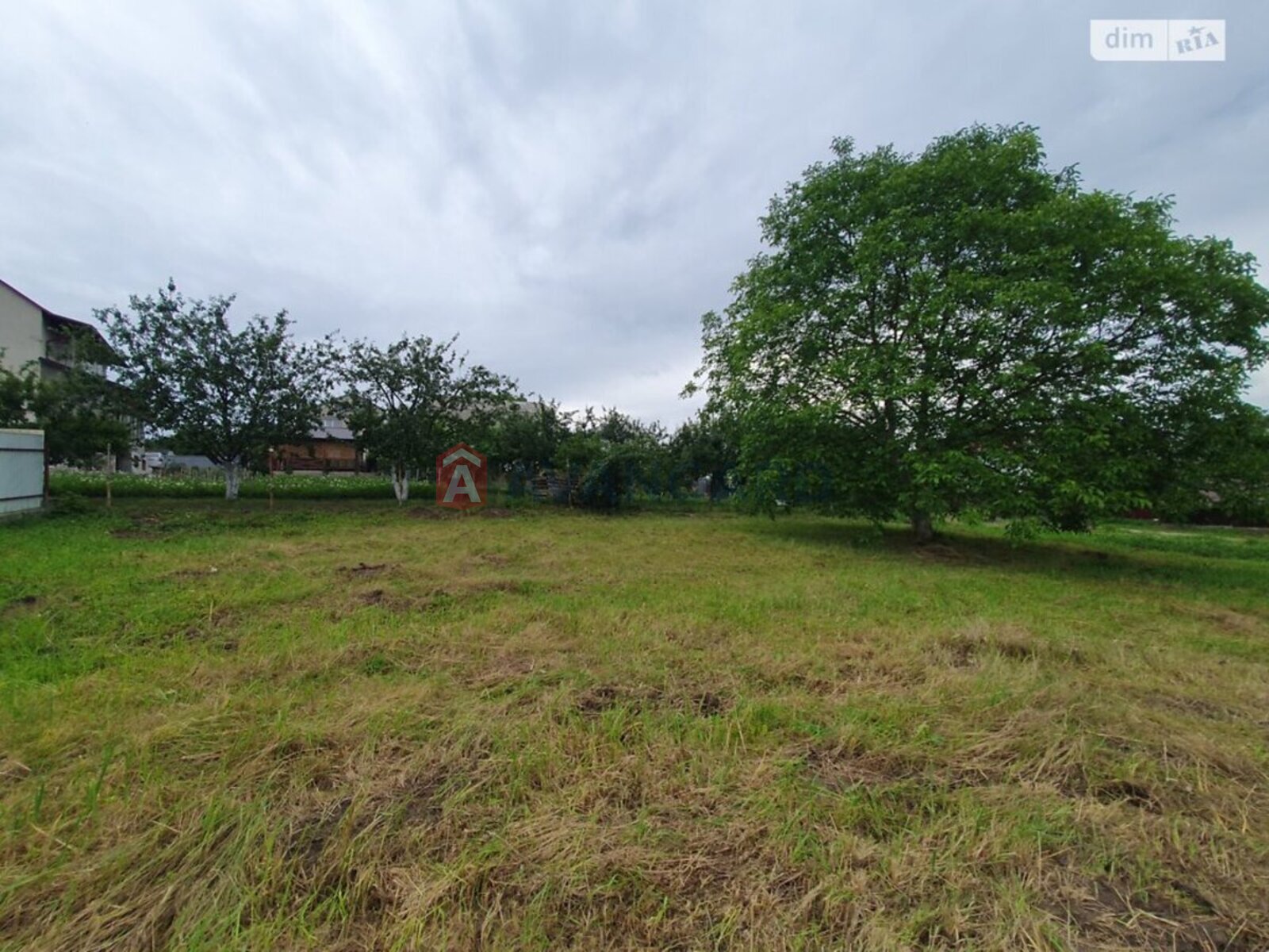 �������, 120 ��.�. ���� 8