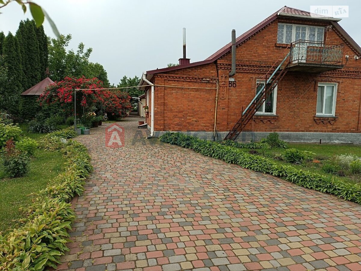 �������, 84 ��.�. ���� 1