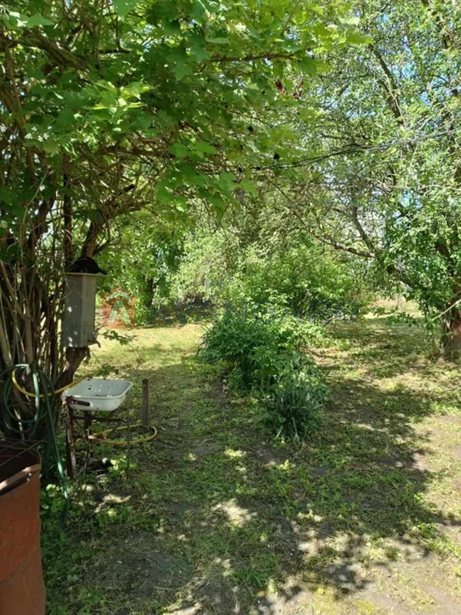 ����, 64 ��.�. ���� 2