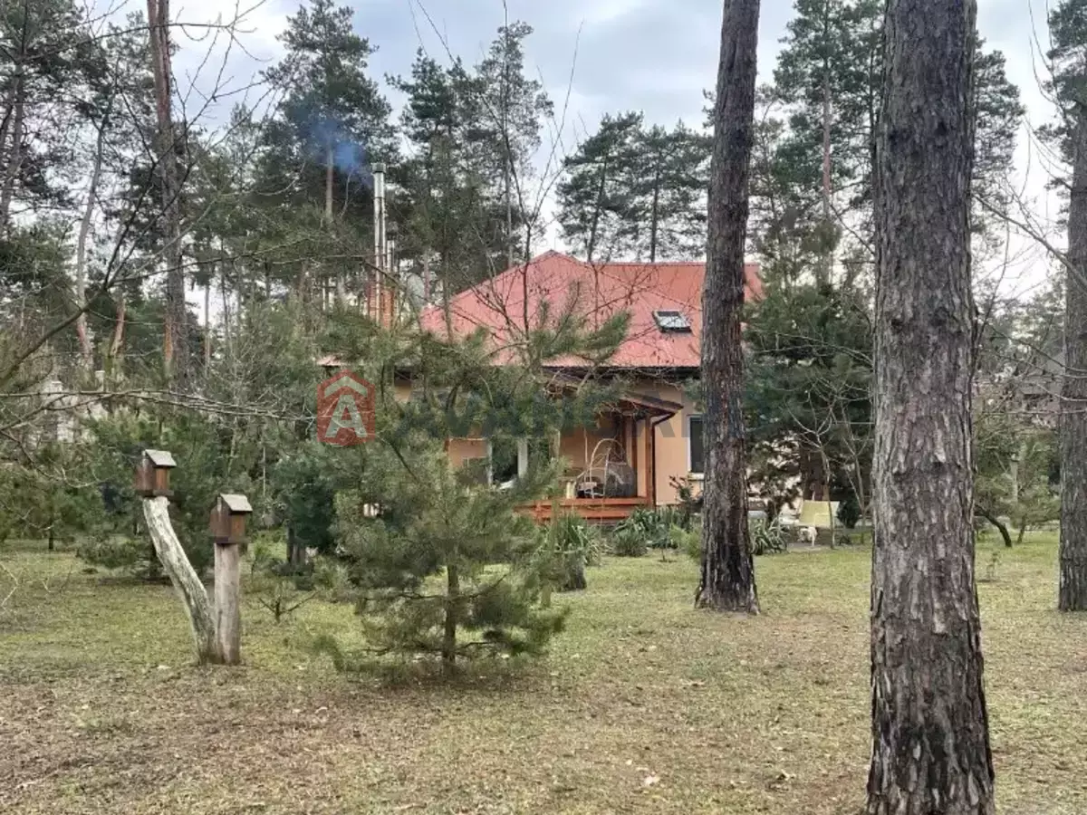 216 ��.�. ���� 11