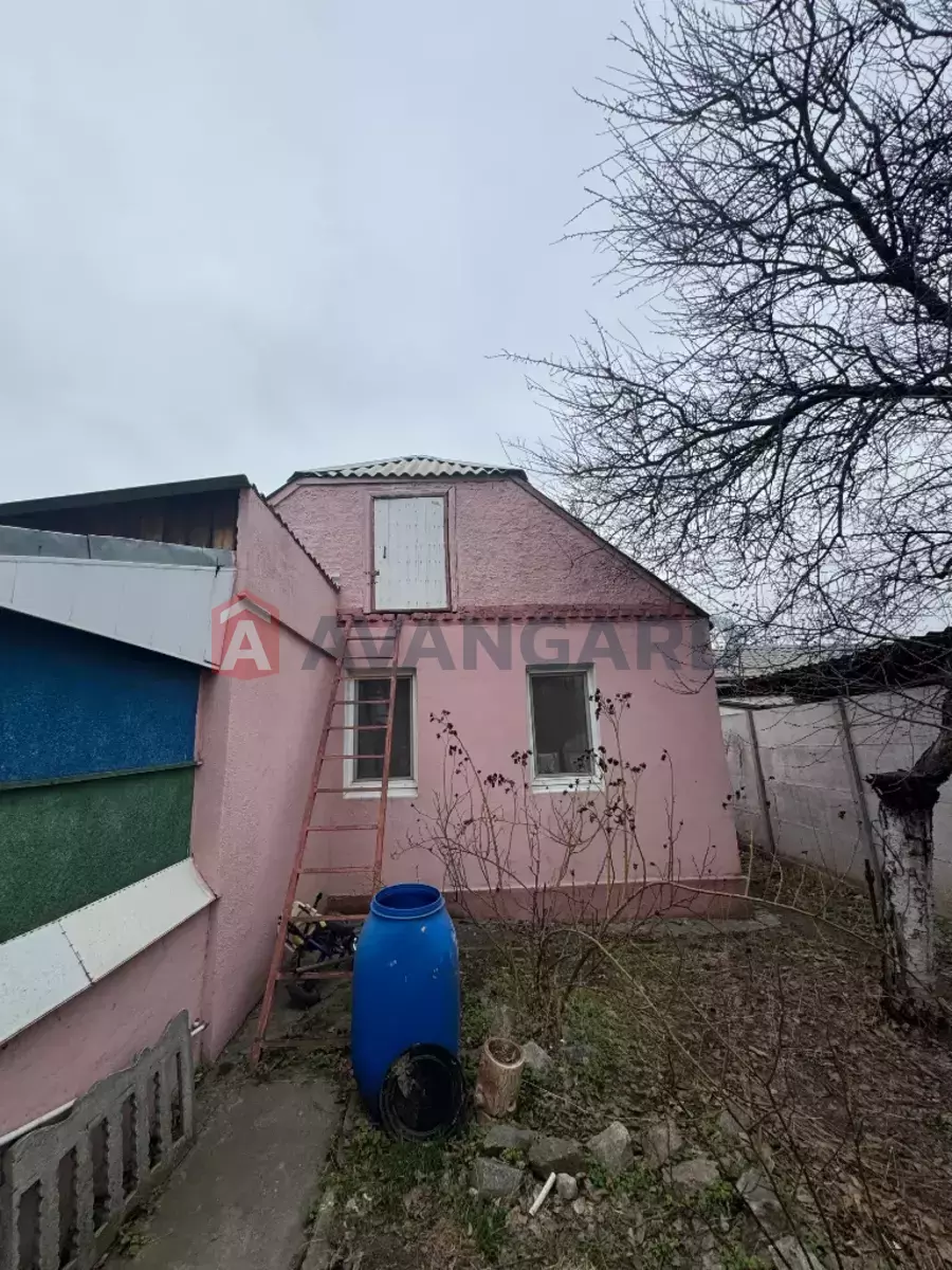 �������, 70 ��.�. ���� 3