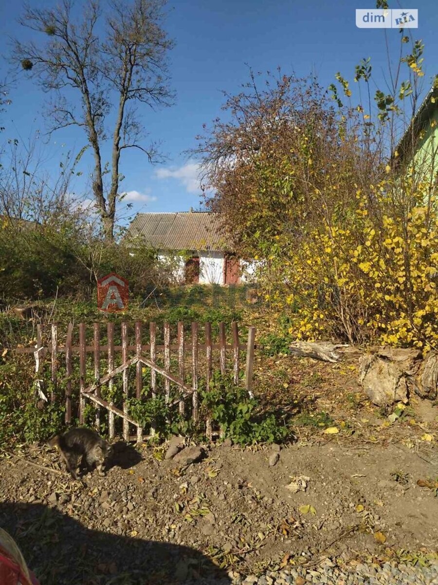 �������, 40 ��.�. ���� 5