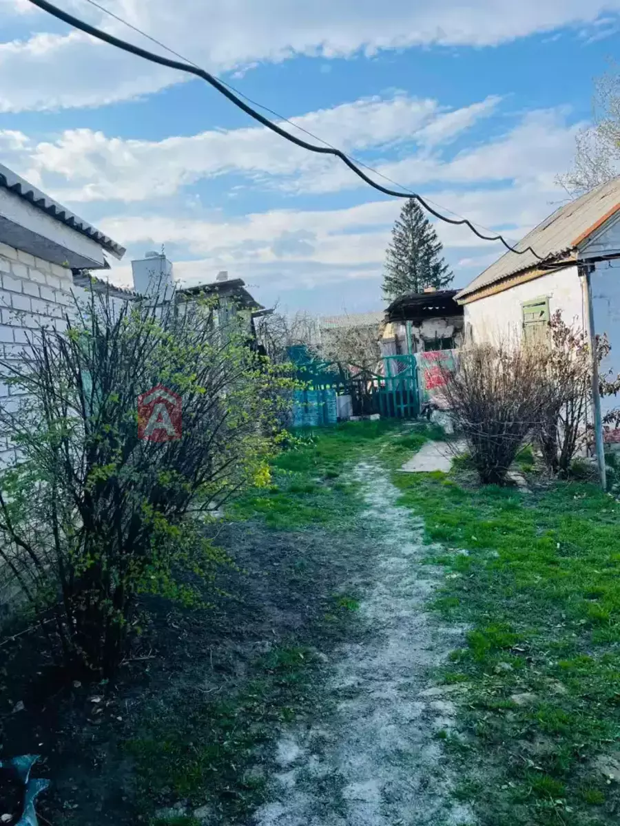 �������, 50 ��.�. ���� 5