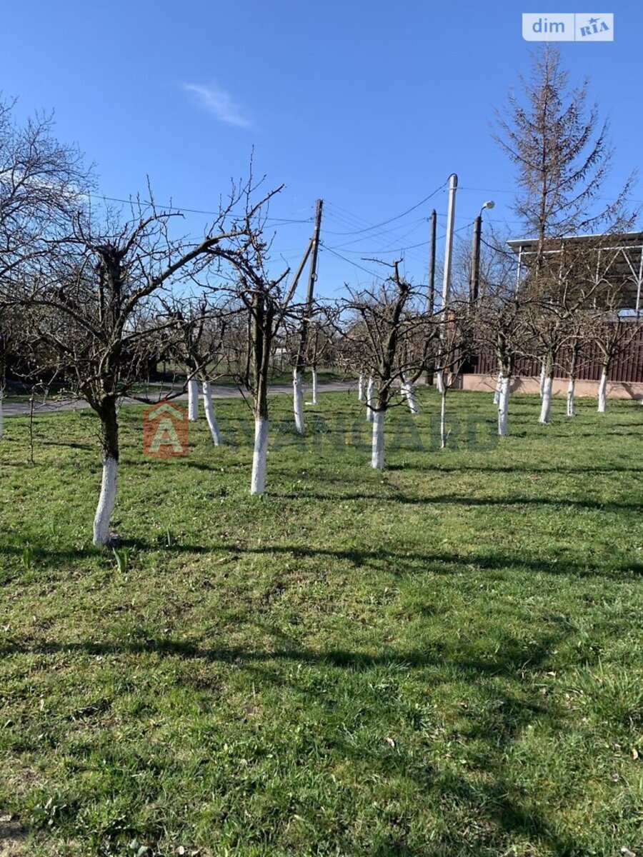 �������, 360 ��.�. ���� 3