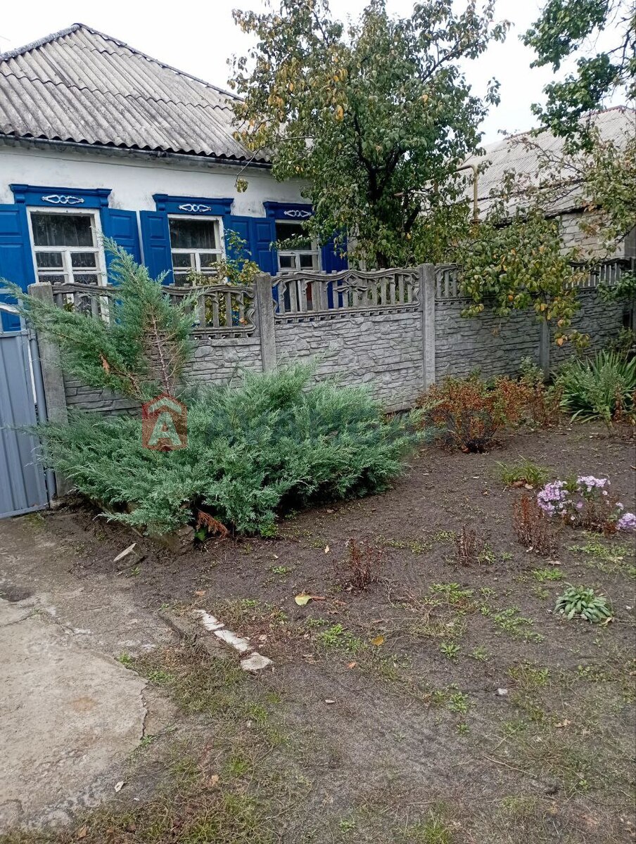 �������, 92 ��.�. ���� 1