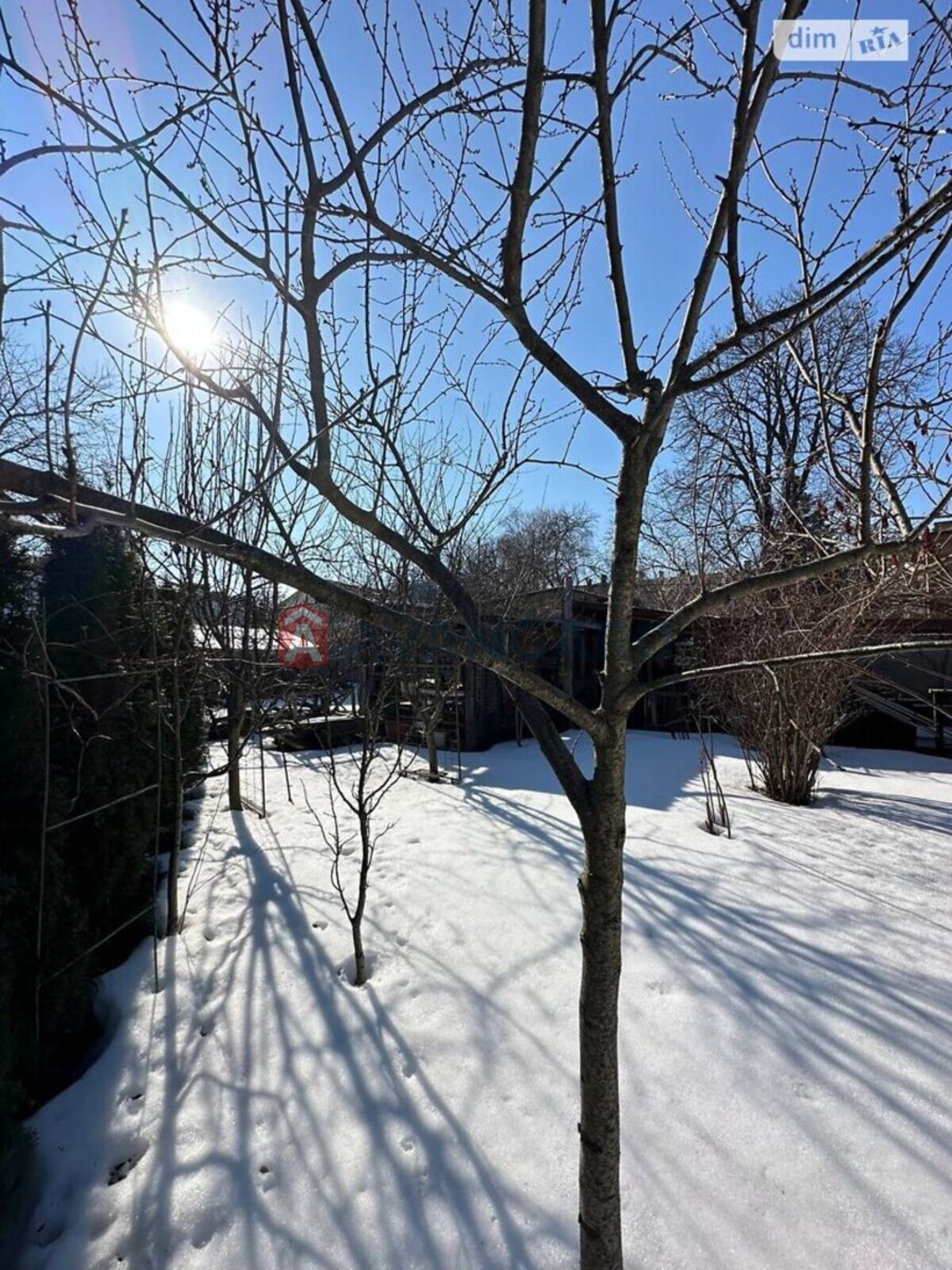 ������� �������, 65 ��.�. ���� 26