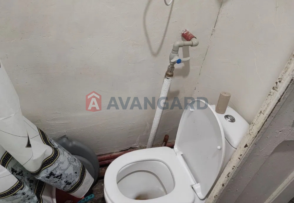 �������, 71 ��.�. ���� 6