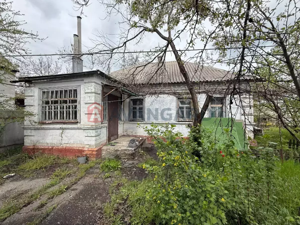 �������, 50 ��.�. ���� 1