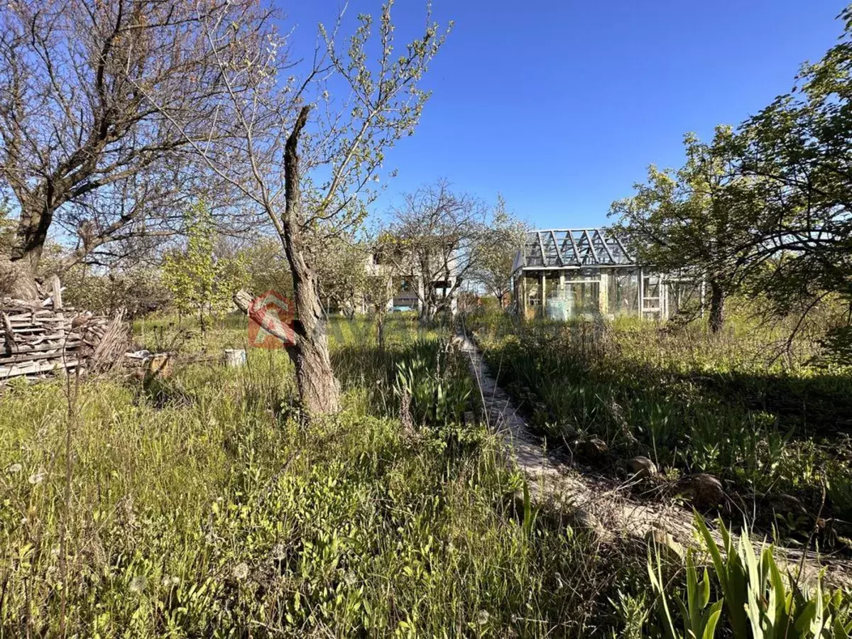 ����, 65 ��.�. ���� 8