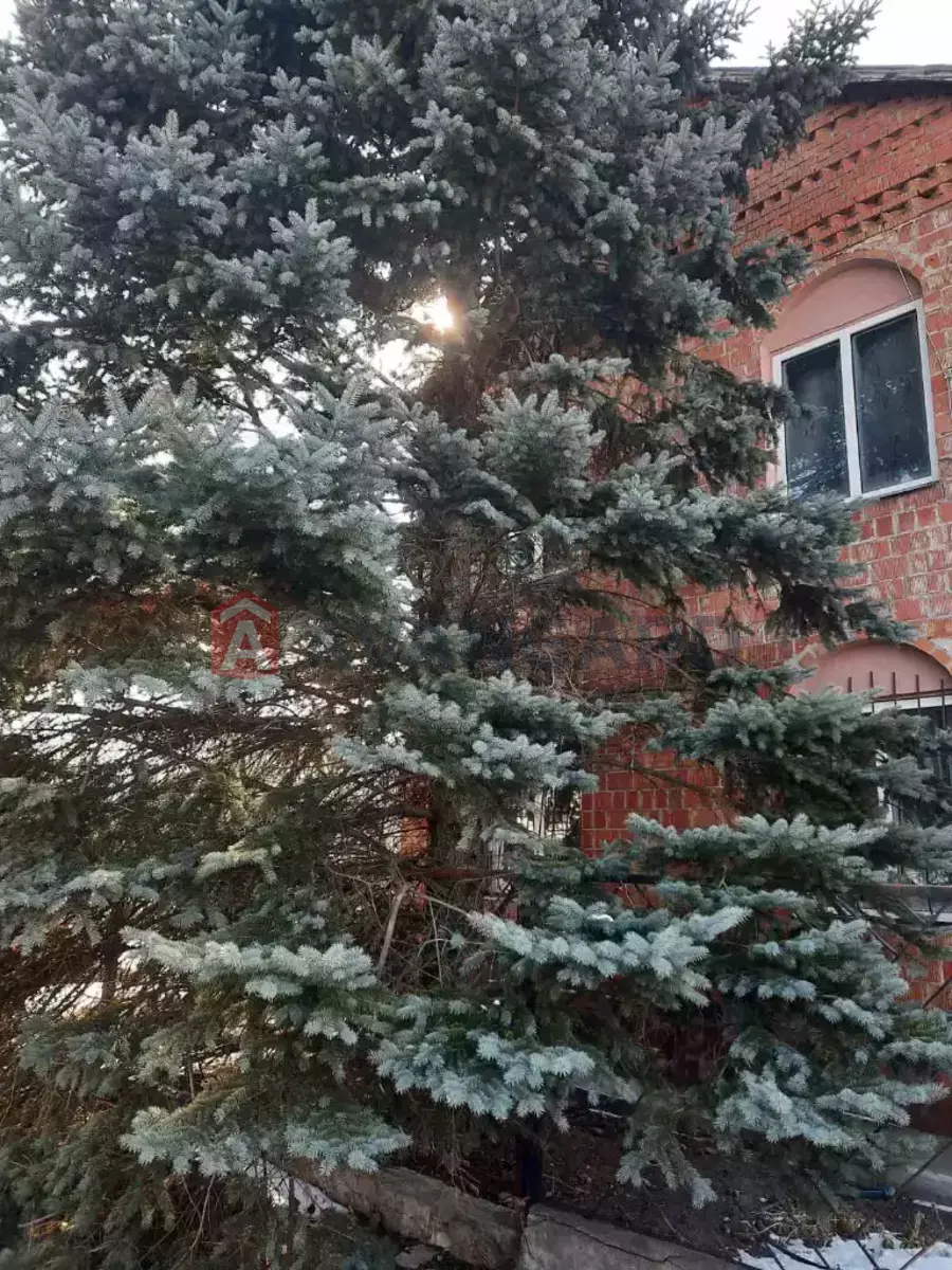 , 80 ..  2