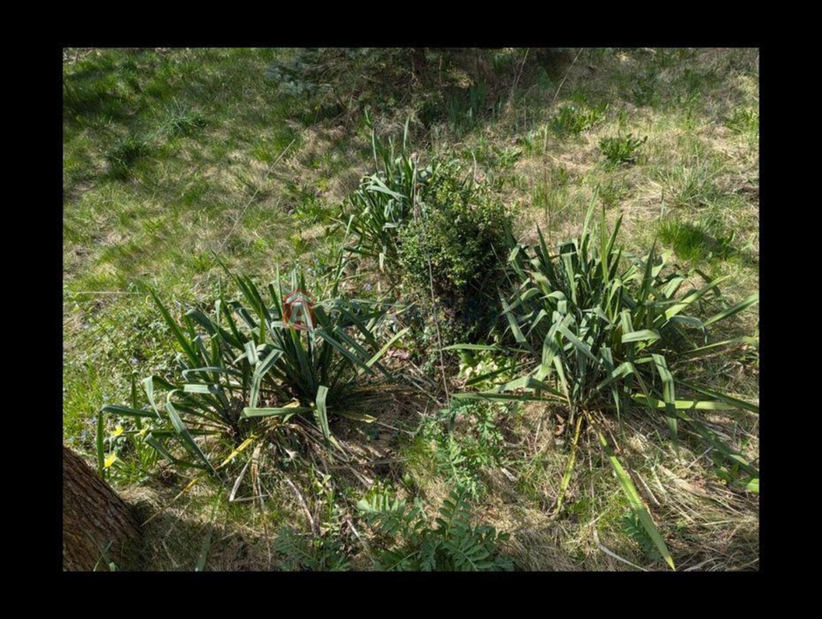 �������, 86 ��.�. ���� 9