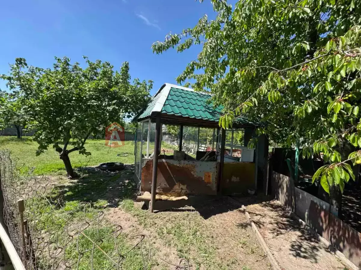 �������, 210 ��.�. ���� 6