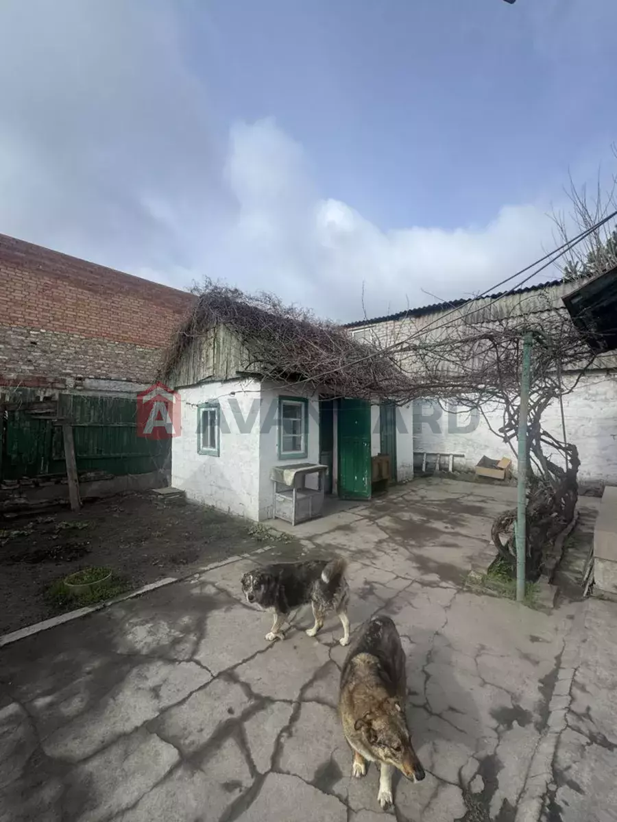 �������, 61 ��.�. ���� 6