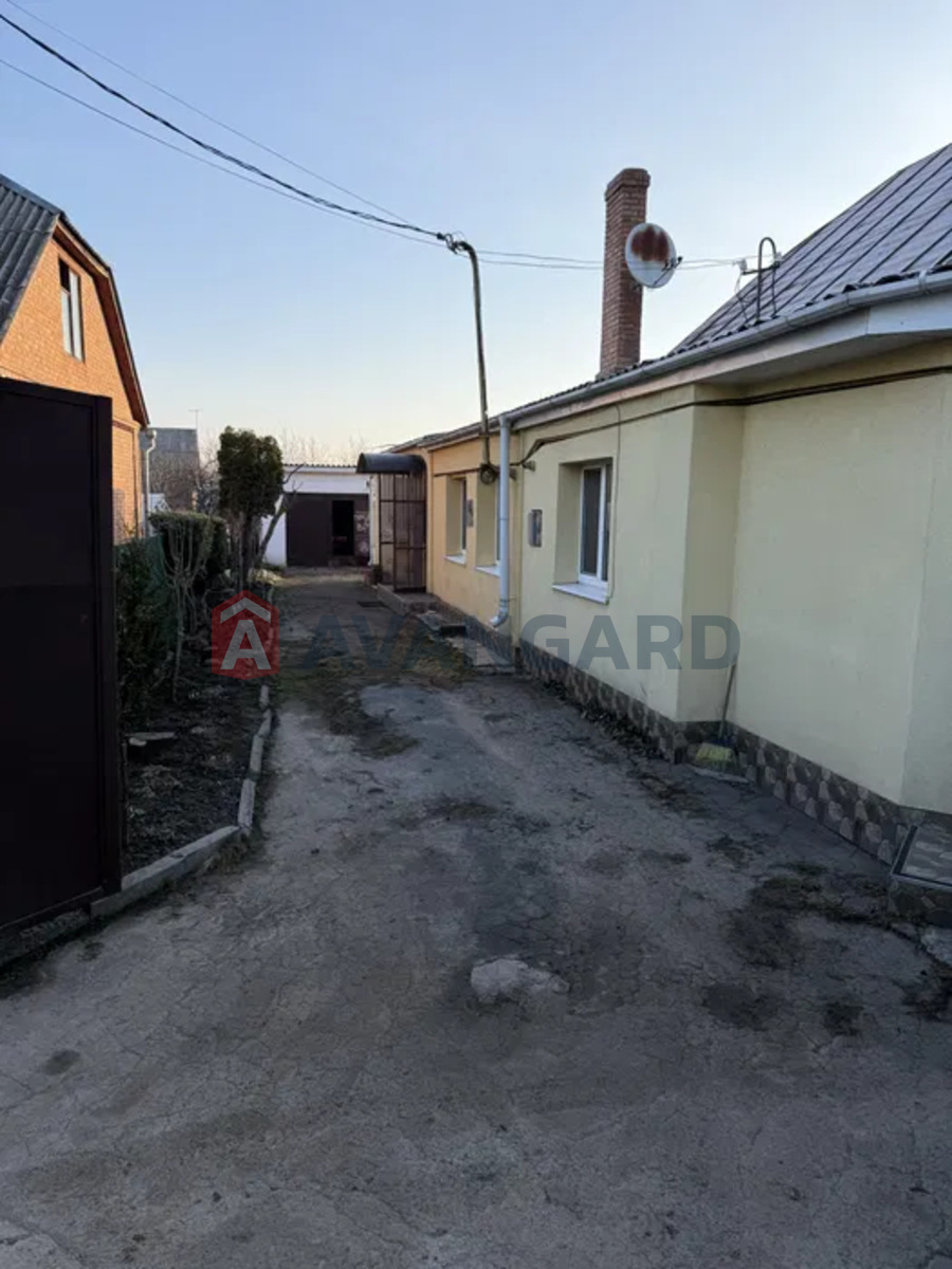 ����� ����, 50 ��.�. ���� 3