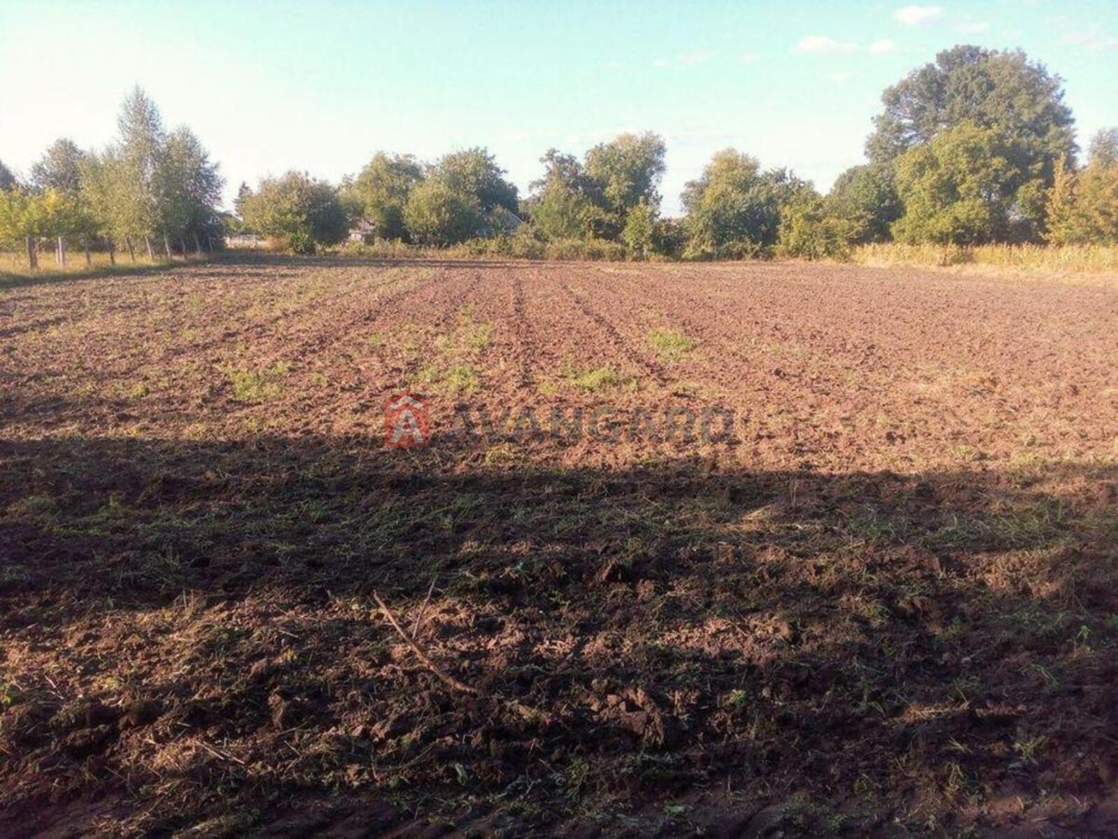 70 ��.�. ���� 1