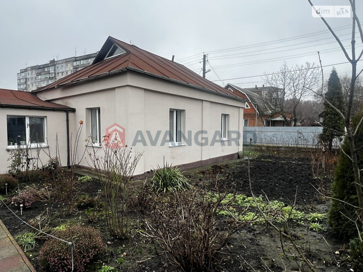 �������, 82 ��.�. ���� 13