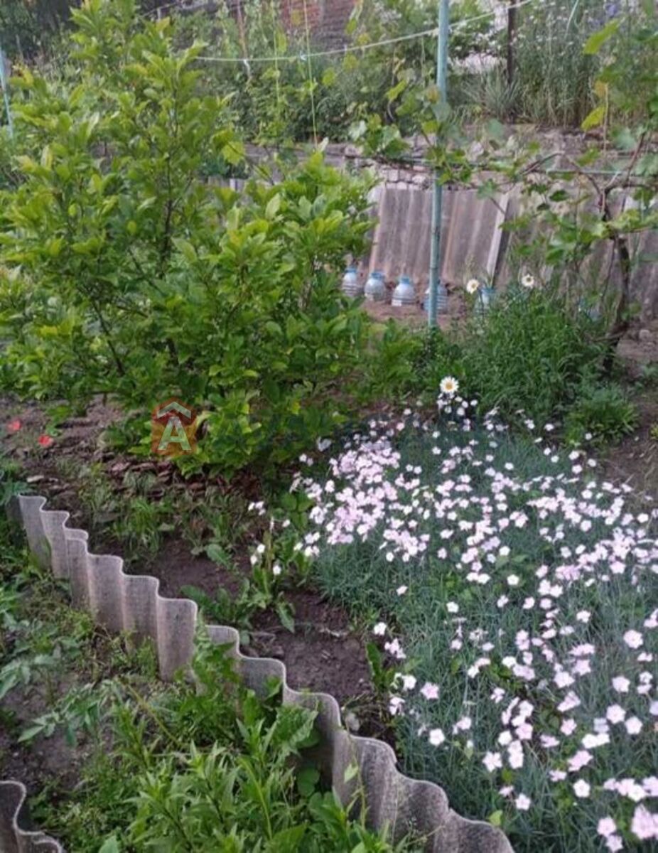 ������� �������, 38 ��.�. ���� 22