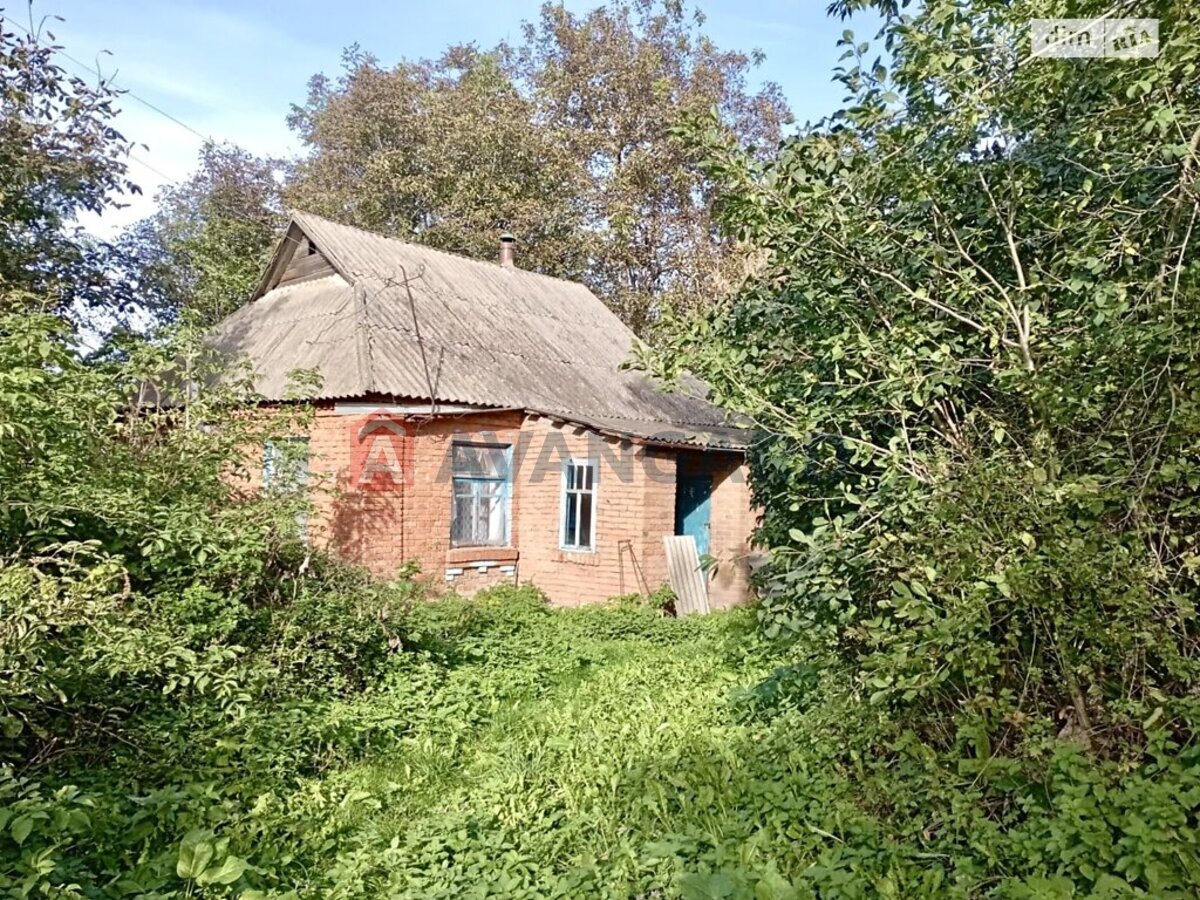 �������, 52 ��.�. ���� 12