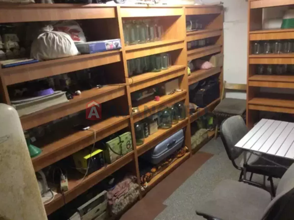 �������, 110 ��.�. ���� 11